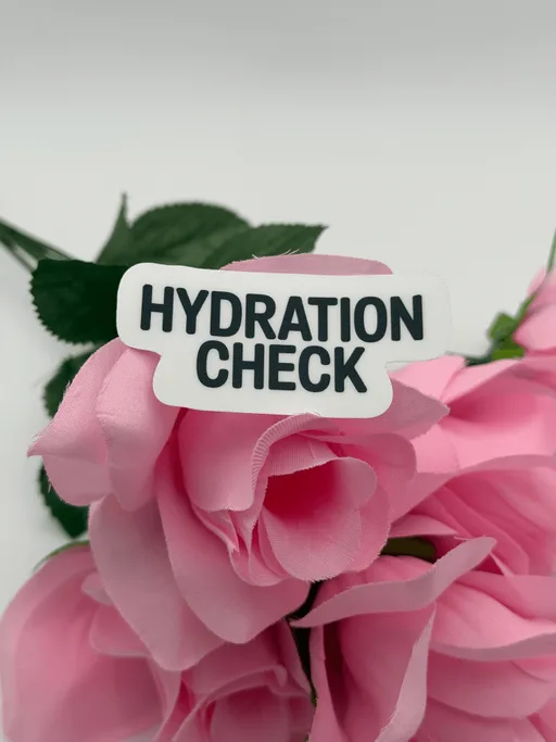 "Hydration Check" Motivational Vinyl Sticker